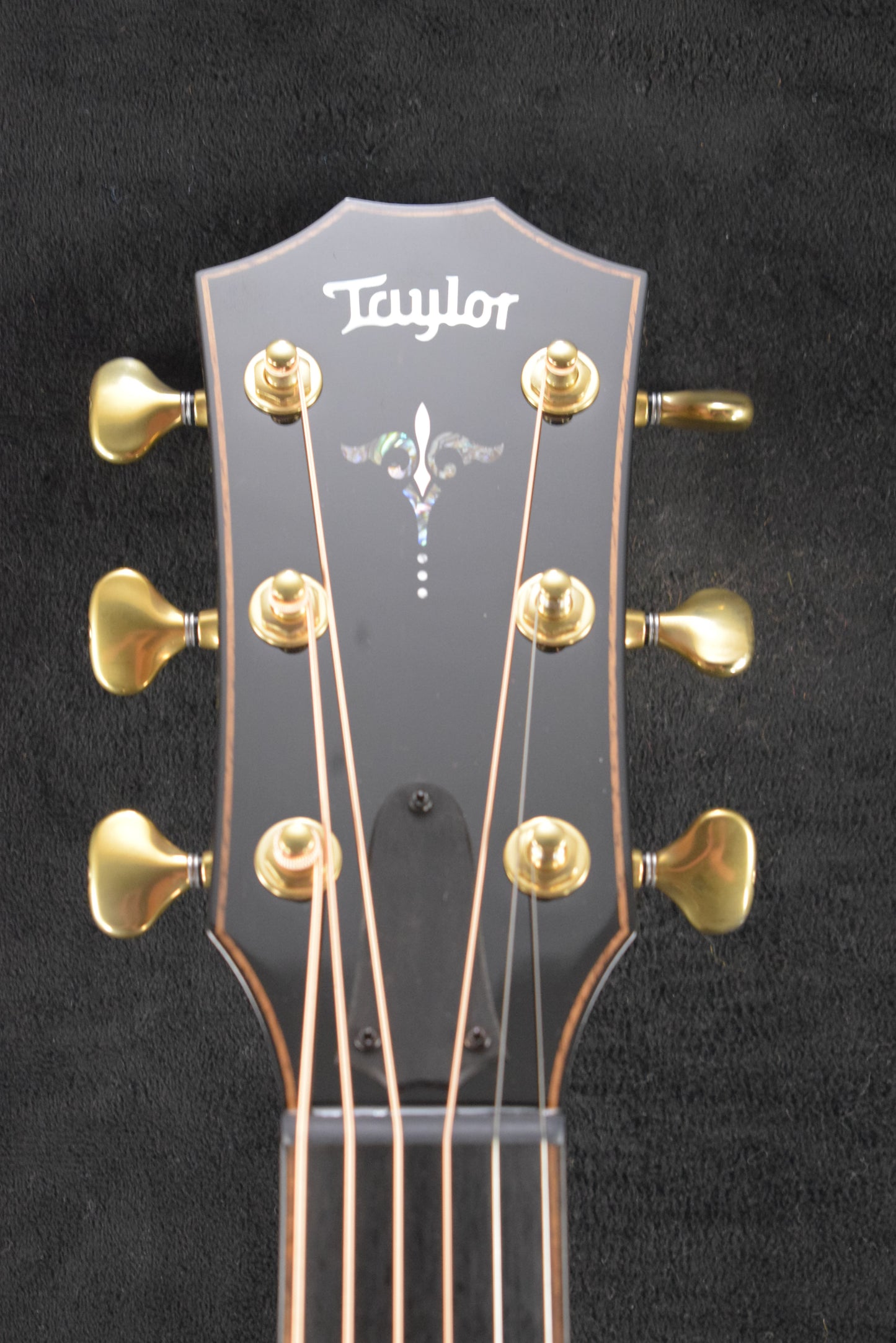 Taylor Next Generation Builder's Edition 914ce Honduran Rosewood/Sinker Redwood