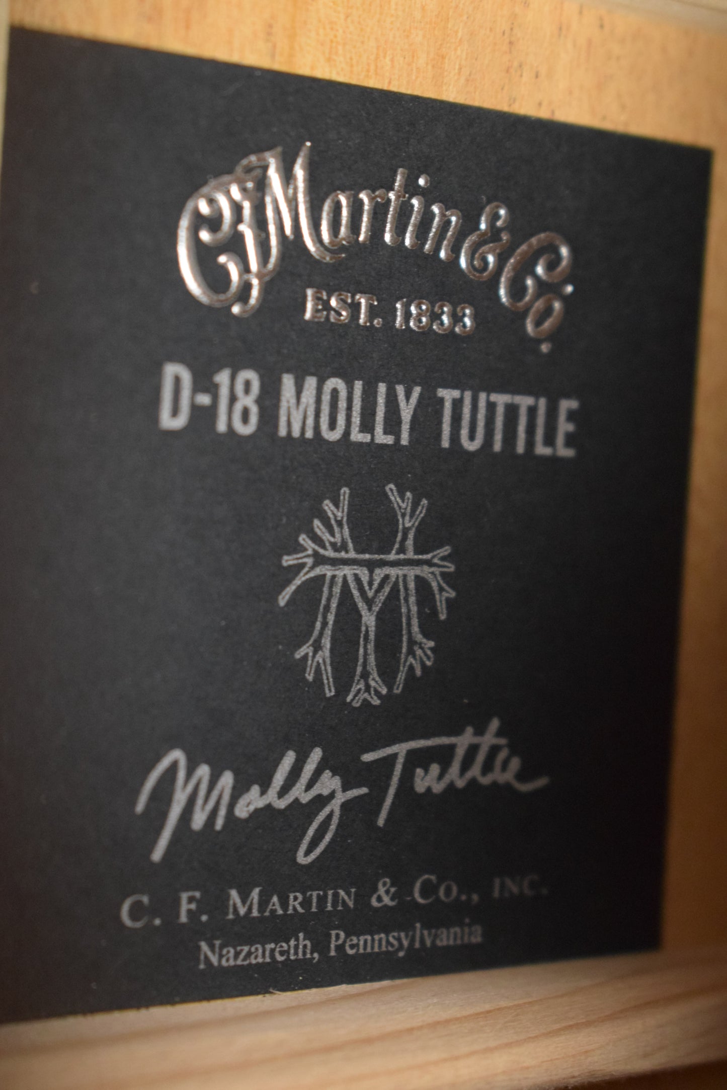 Martin D-18 Molly Tuttle Sunburst
