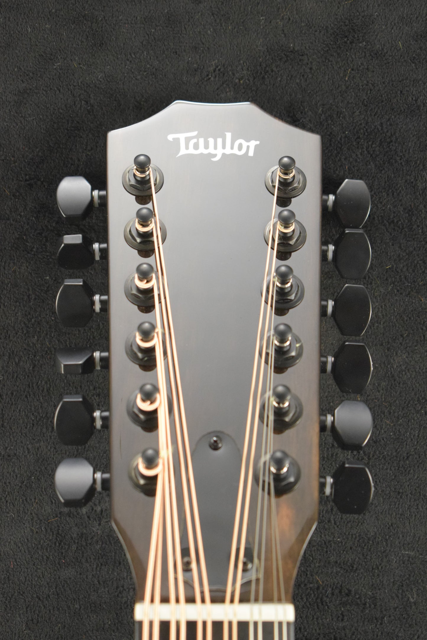 Taylor 250ce Plus BLK Doce Doble