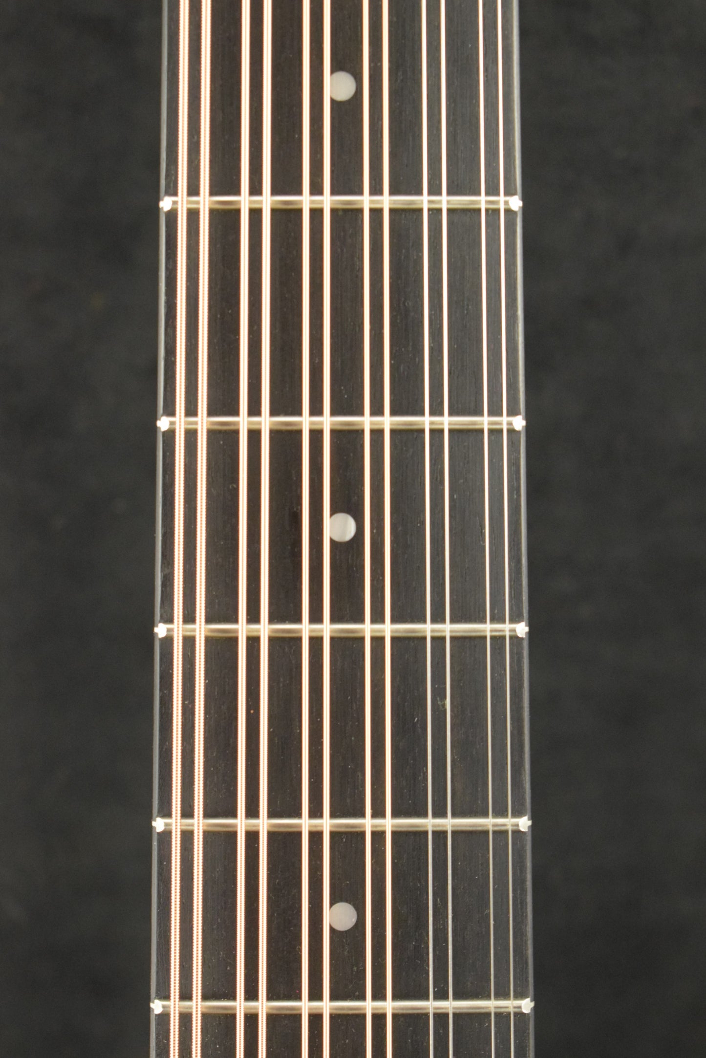 Taylor 250ce Plus BLK Doce Doble