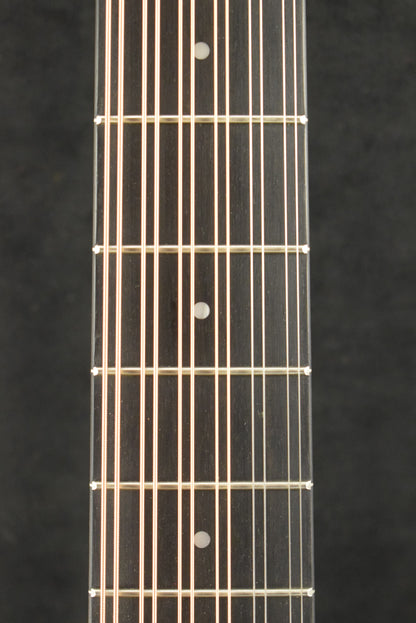 Taylor 250ce Plus BLK Doce Doble