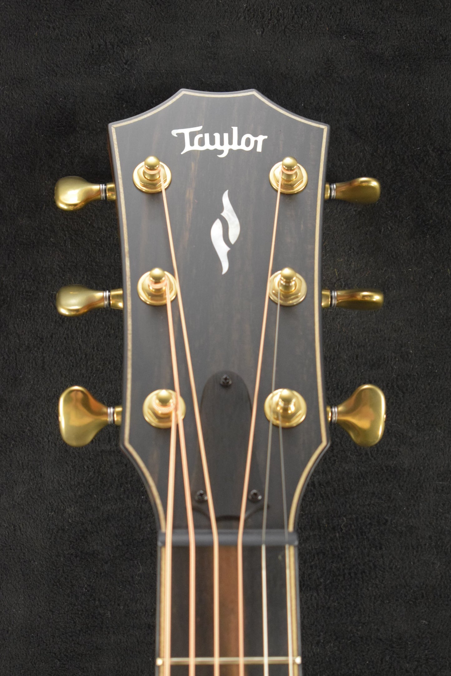 Taylor Next Generation Builder's Edition 814ce Indian Rosewood/Adirondack Spruce