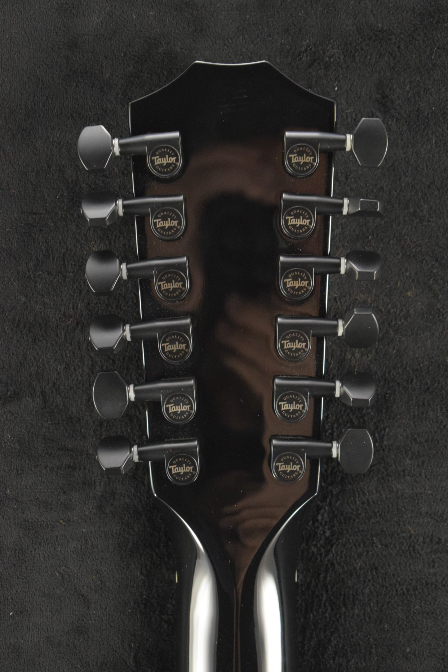 Taylor 250ce Plus BLK Doce Doble