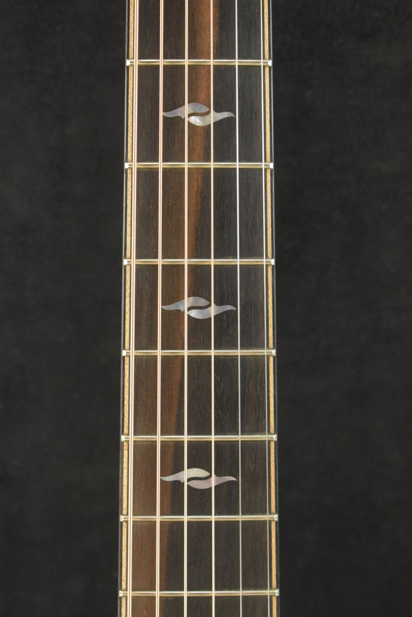 Taylor Next Generation Builder's Edition 814ce Indian Rosewood/Adirondack Spruce
