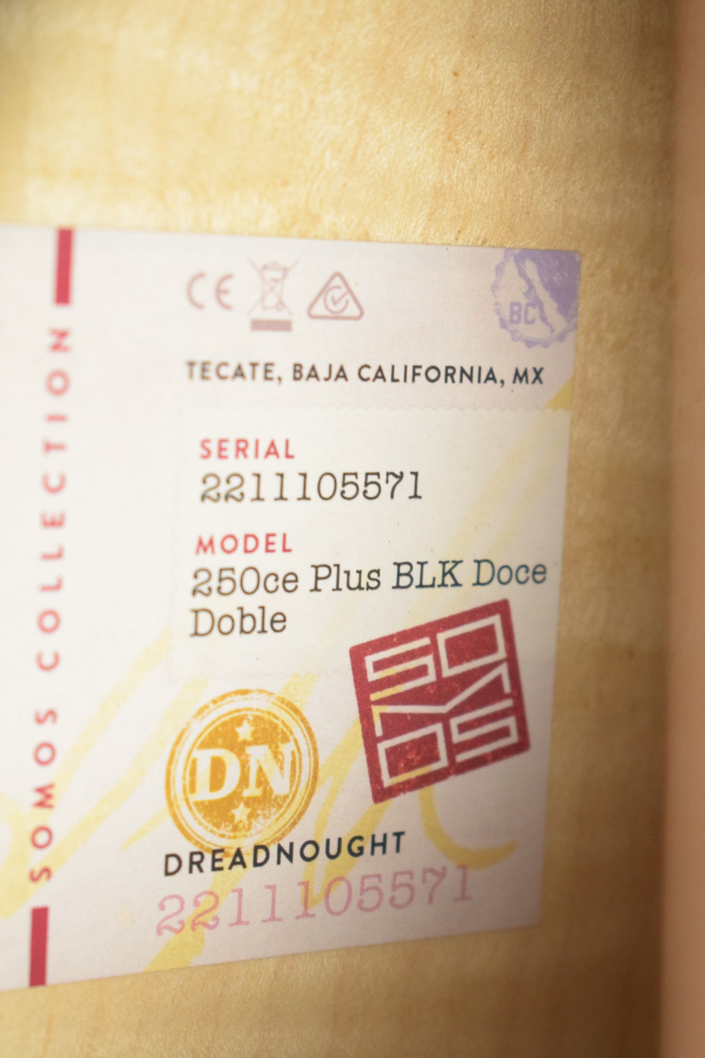 Taylor 250ce Plus BLK Doce Doble