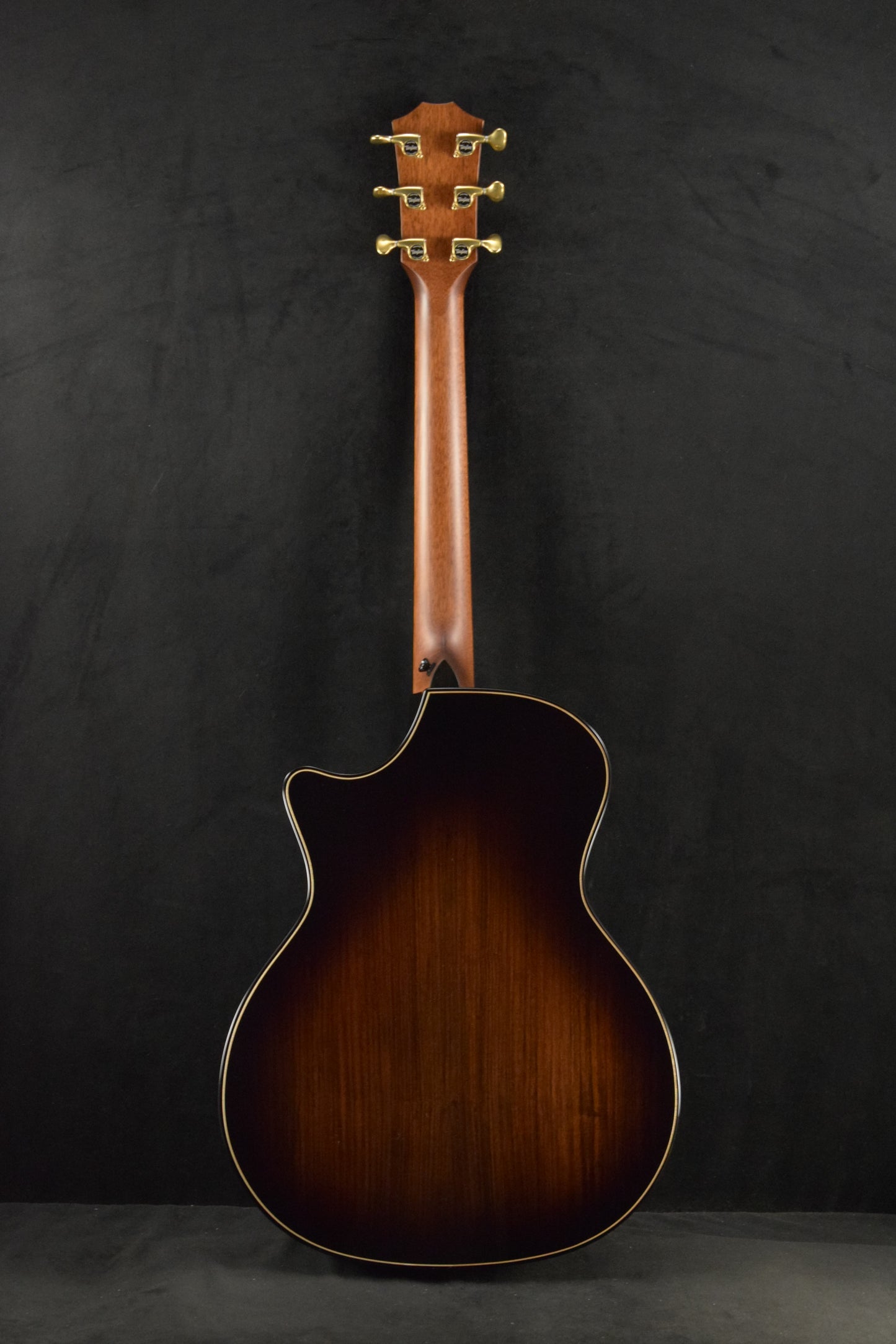 Taylor Next Generation Builder's Edition 814ce Indian Rosewood/Adirondack Spruce