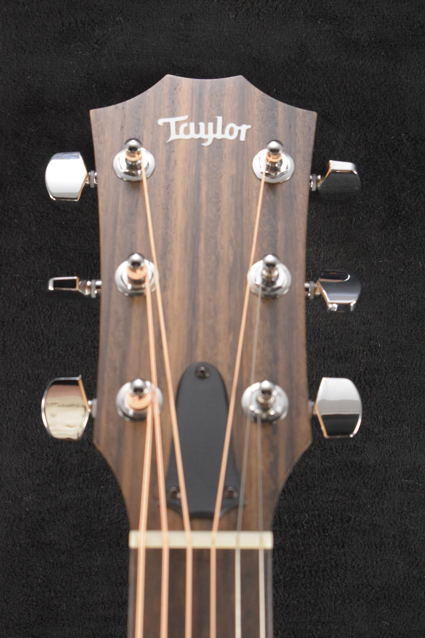 Taylor 117e Special Edition Grand Pacific Dreadnought Dark Tobacco Teardrop Satin