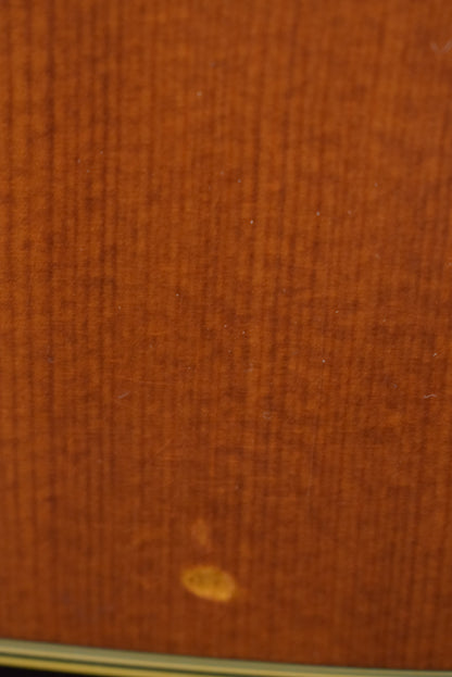 Martin D-28 Rich Robinson Aged Natural