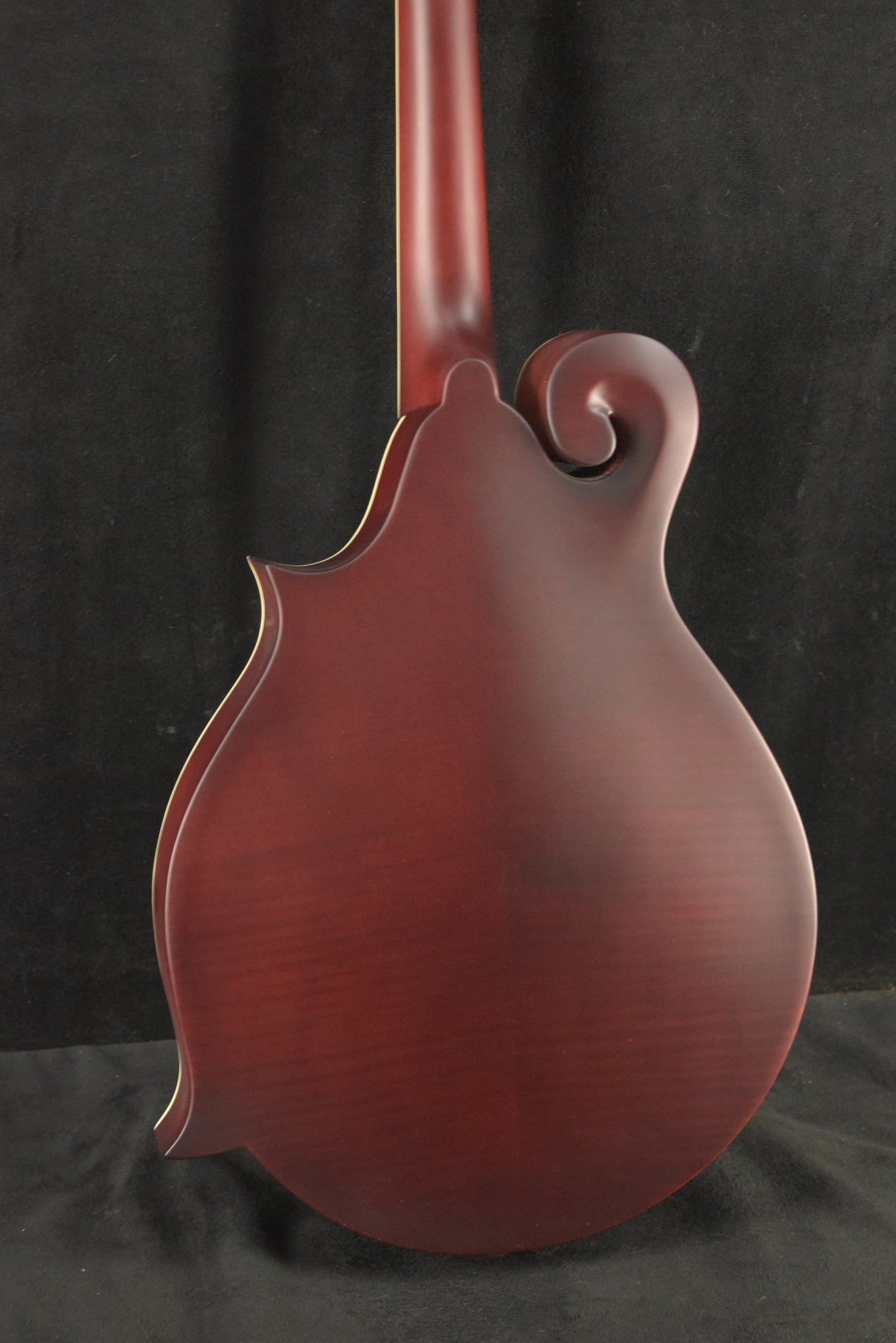 Epiphone F-5 Studio Wine Red Satin w/ Premium Gig Bag