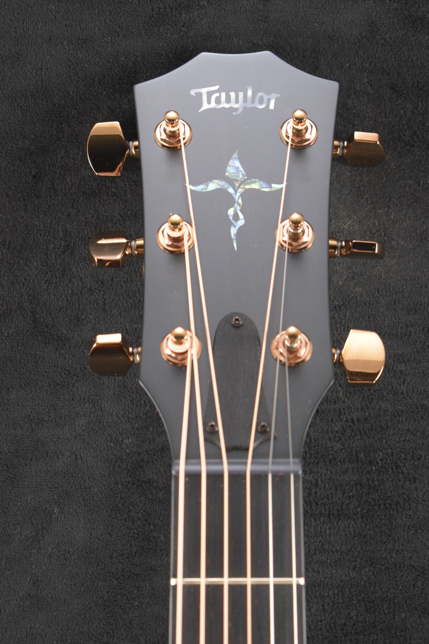 Taylor Next Generation K24ce Special Edition Shaded Edgeburst
