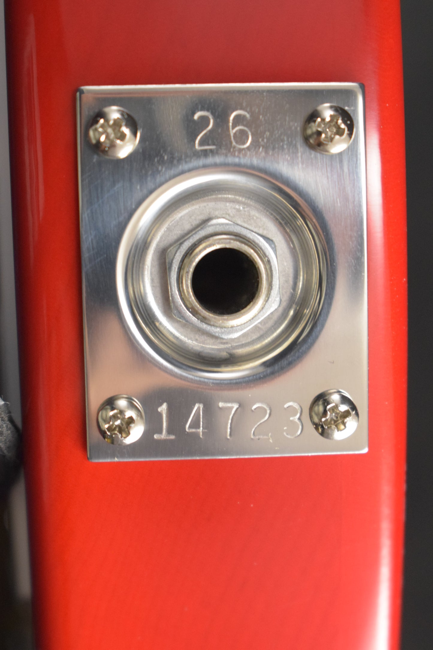 Rickenbacker 330/12 12-String Fireglo