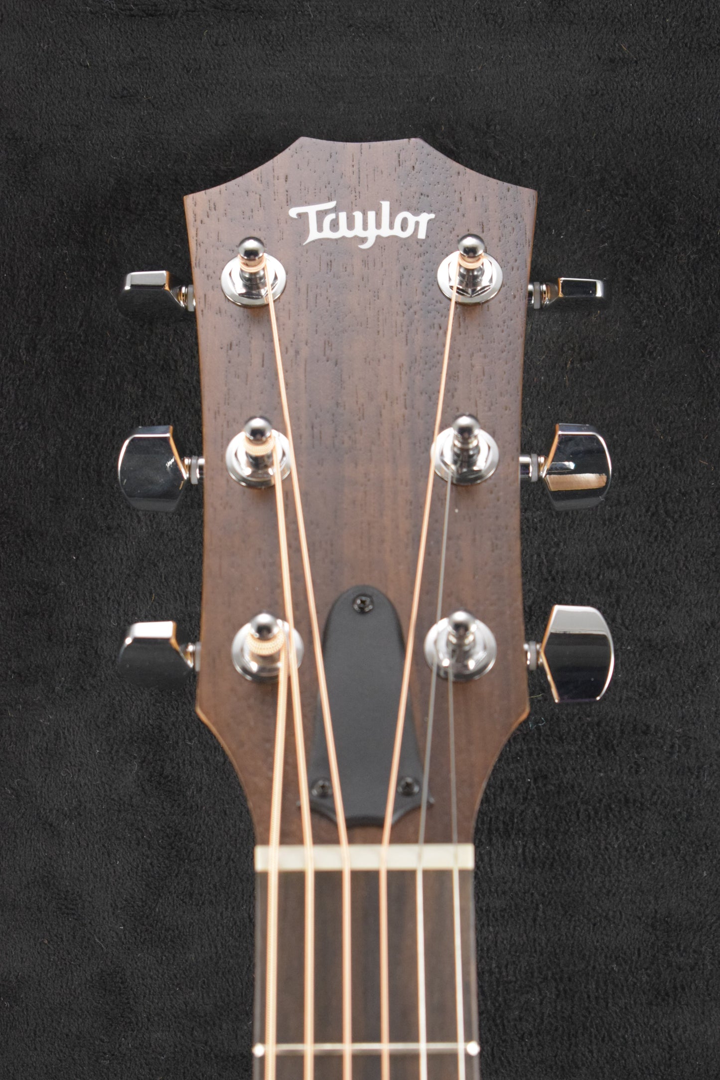 Taylor Academy 22e