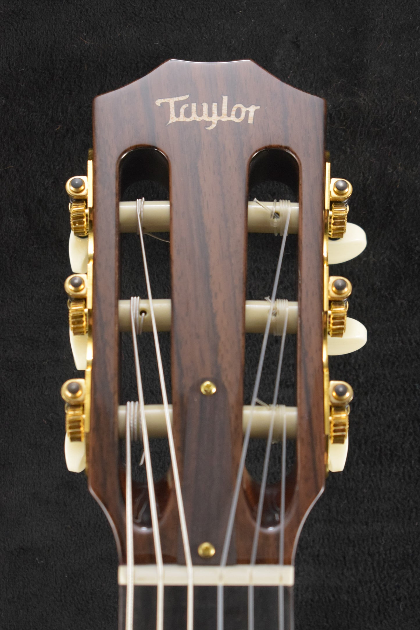 Taylor JMSM Jason Mraz Signature Model