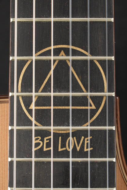 Taylor JMSM Jason Mraz Signature Model