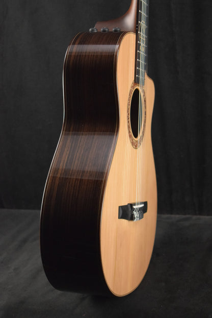 Taylor JMSM Jason Mraz Signature Model