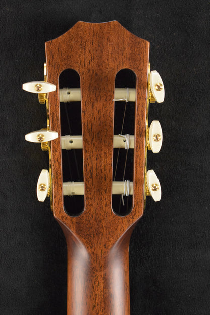 Taylor JMSM Jason Mraz Signature Model