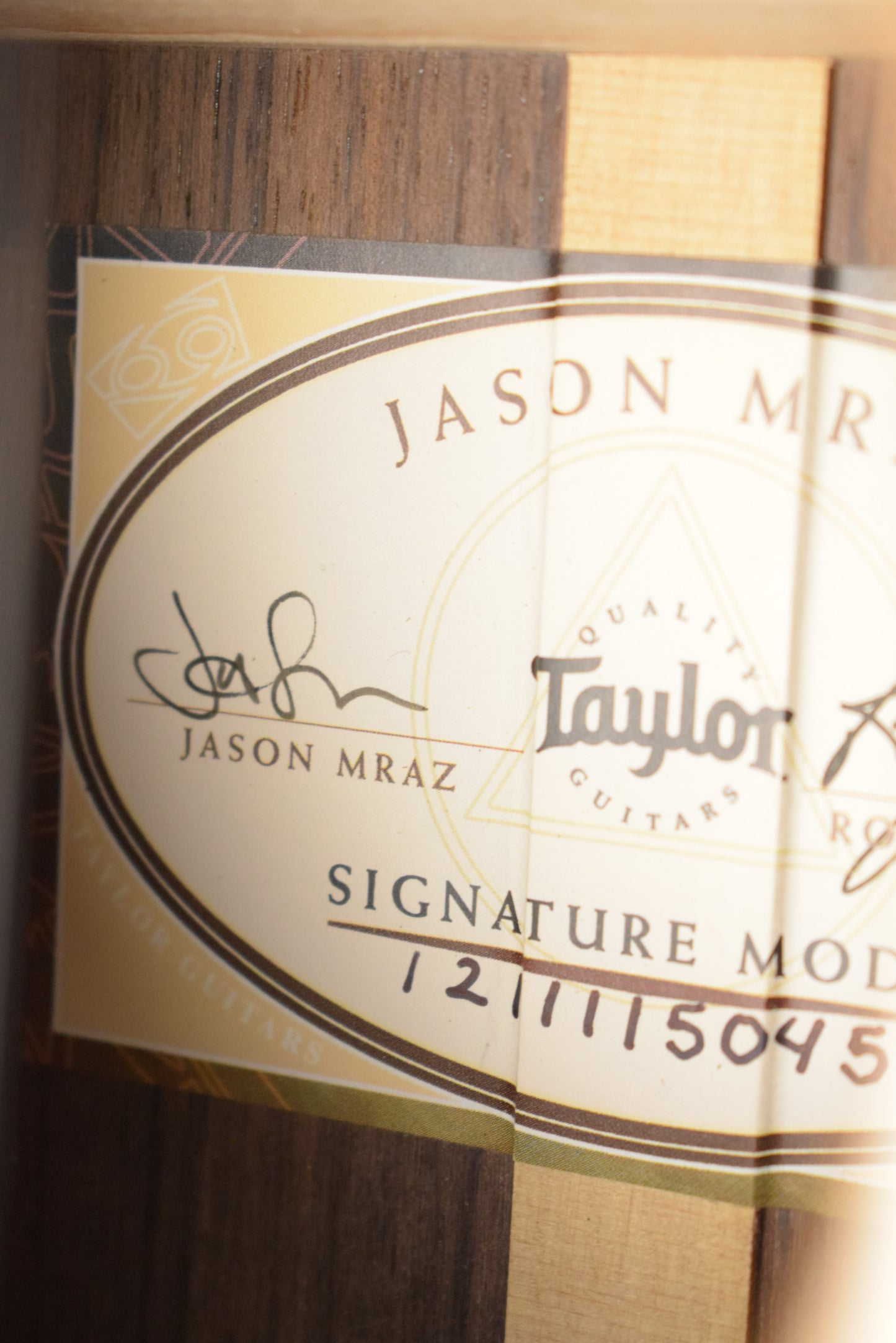 Taylor JMSM Jason Mraz Signature Model