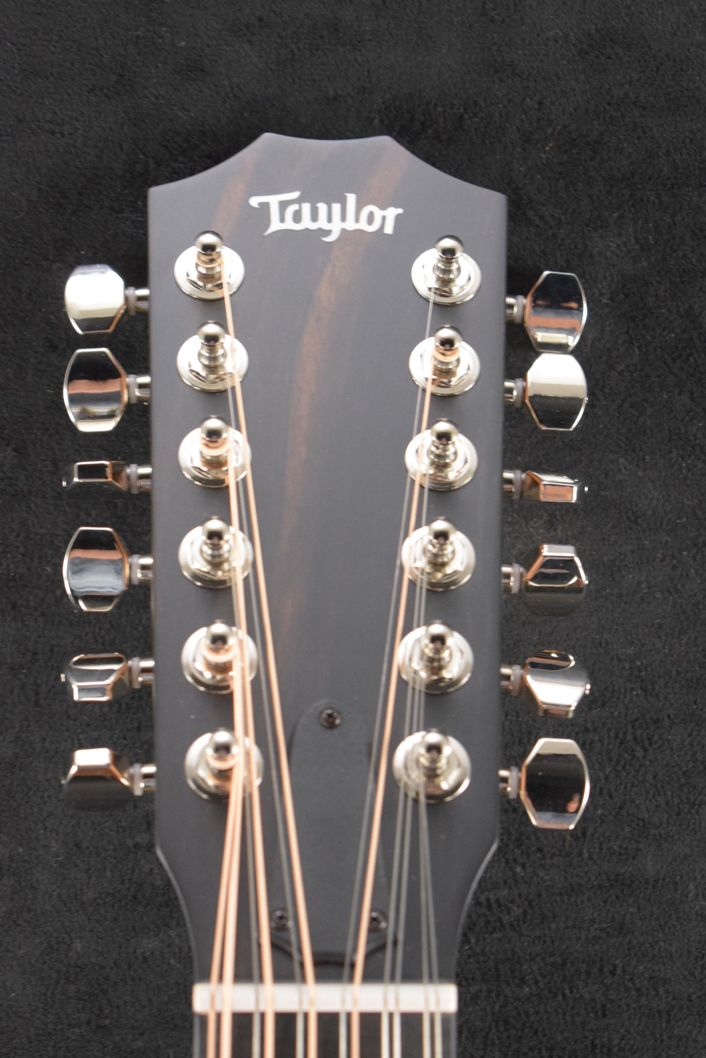 Taylor 354ce Studio Special Edition 12-String Honeyburst