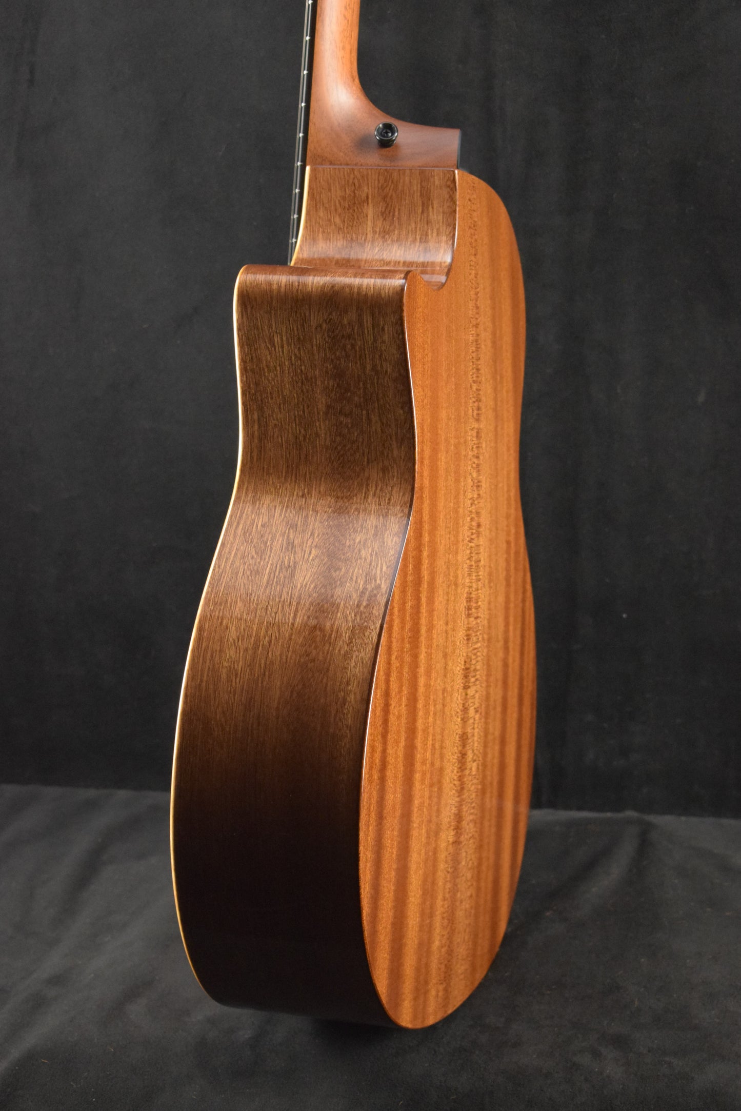 Taylor 354ce Studio Special Edition 12-String Honeyburst