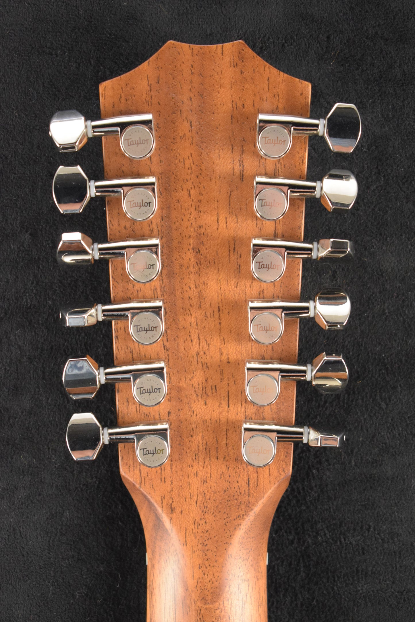 Taylor 354ce Studio Special Edition 12-String Honeyburst
