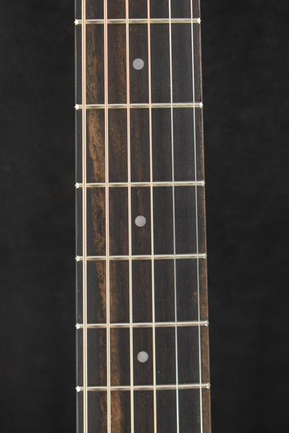 Taylor GS Mini Mahogany