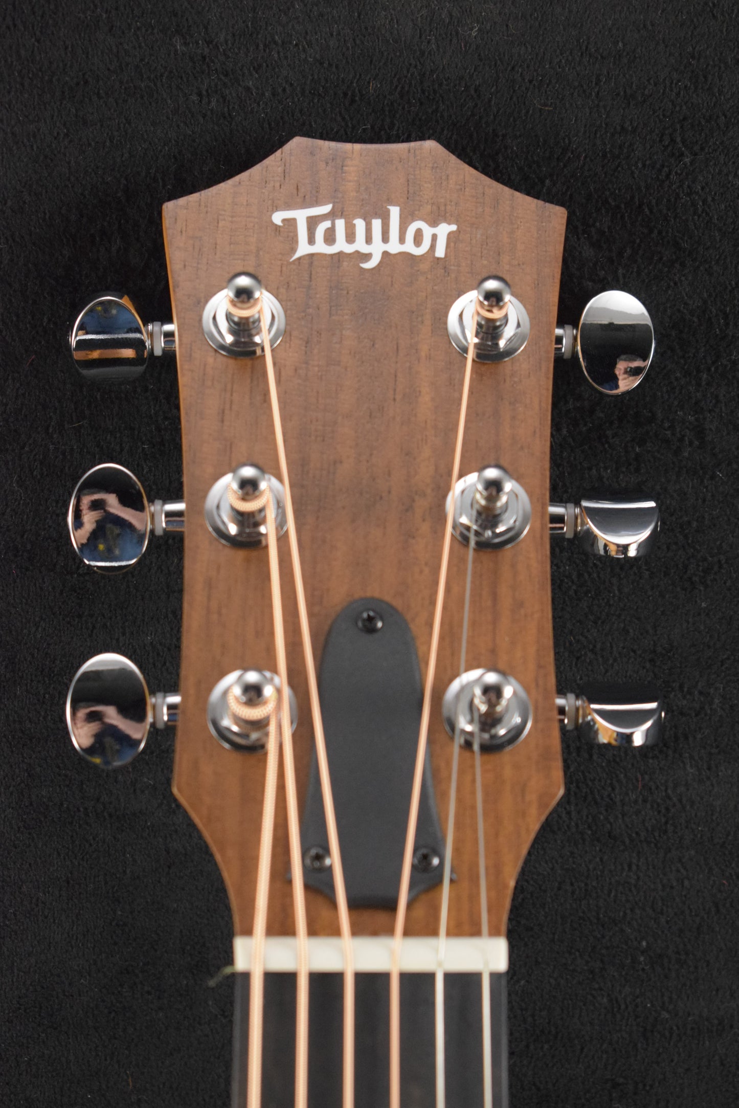 Taylor GS Mini Mahogany