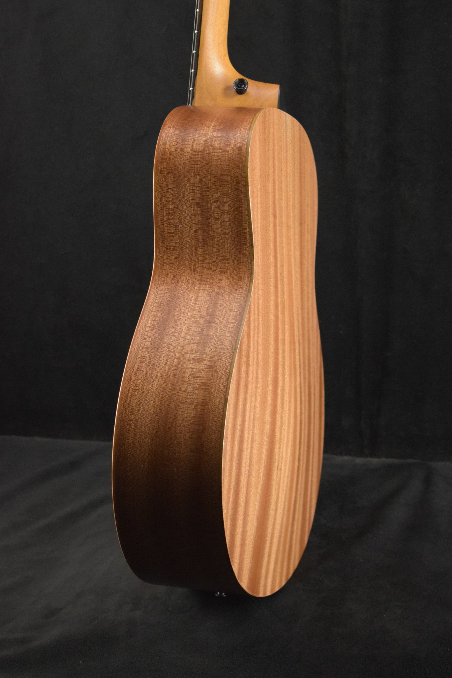 Taylor GS Mini Mahogany