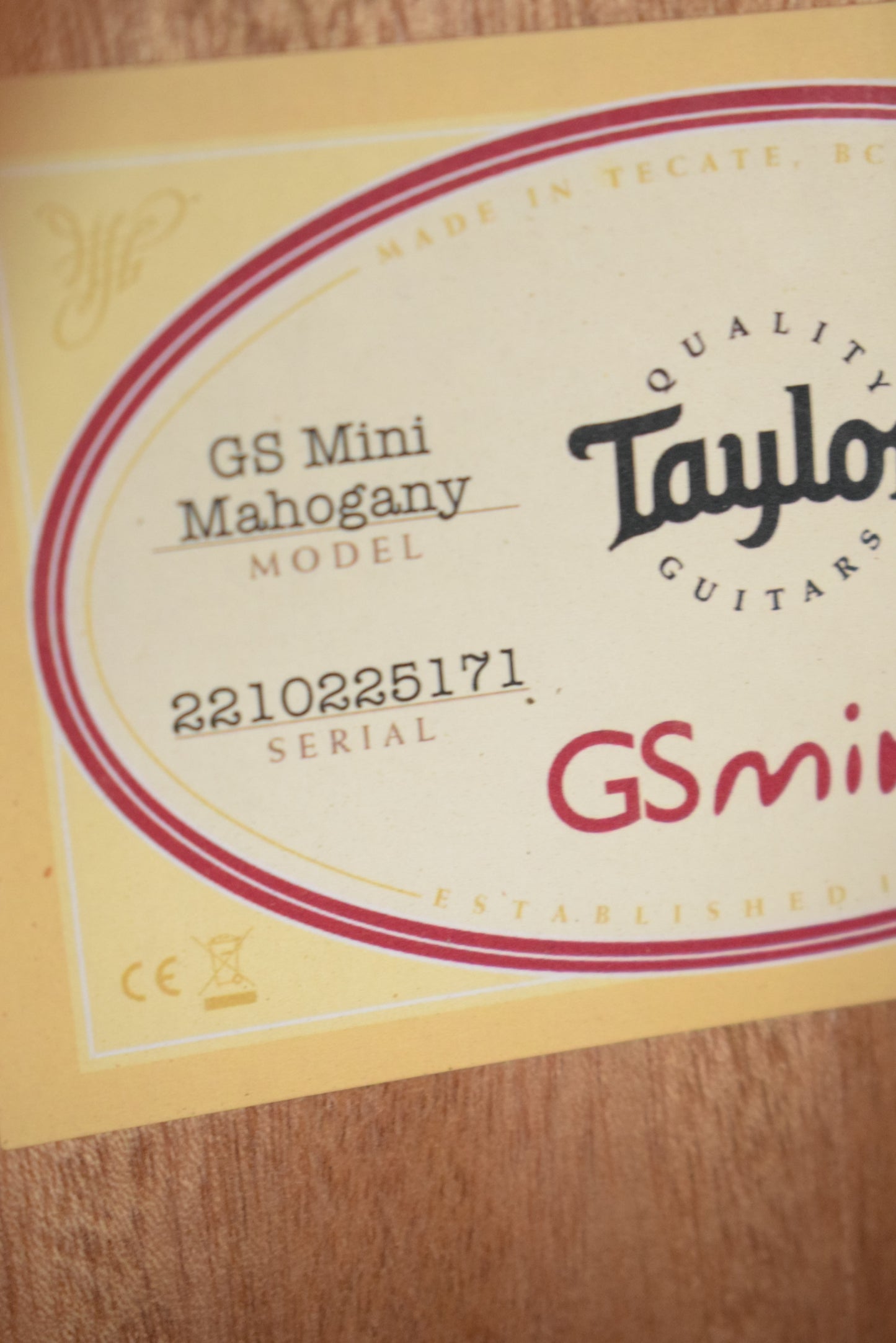 Taylor GS Mini Mahogany