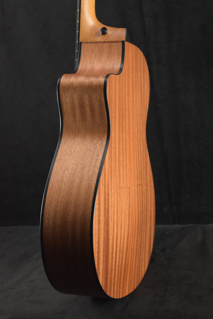 Taylor 112ce-N Nylon-String Acoustic-Electric Sapele/Torrefied Spruce Natural