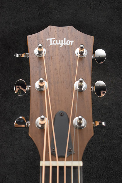 Taylor 24ce Mahogany Top Natural