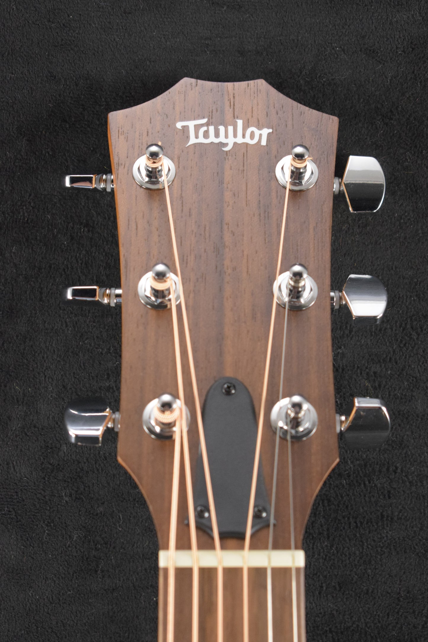 Taylor Academy 22e