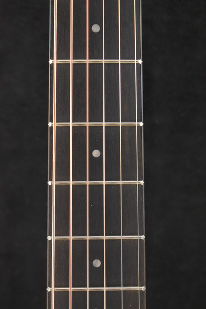 Taylor 24ce Mahogany Top Natural