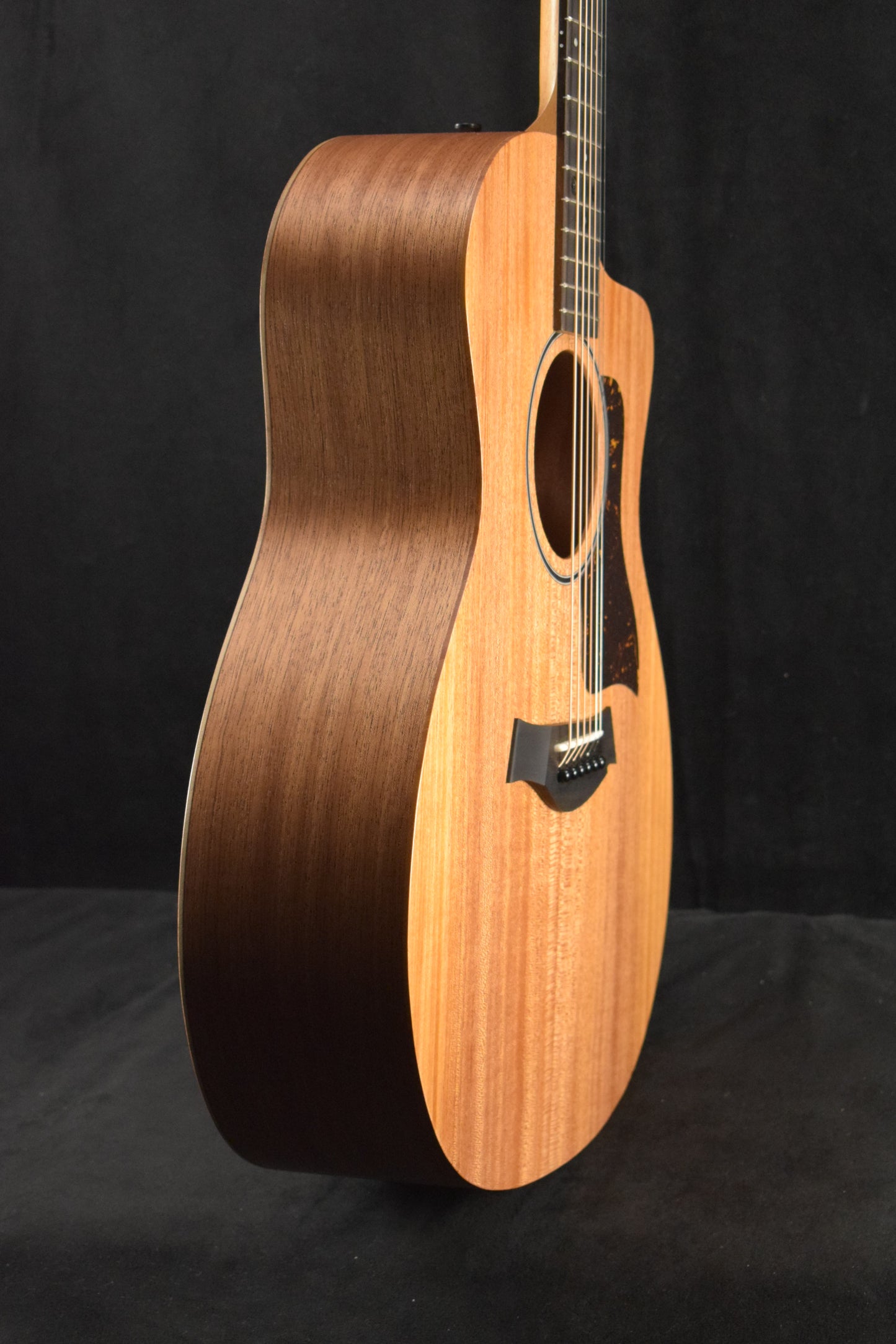Taylor 24ce Mahogany Top Natural