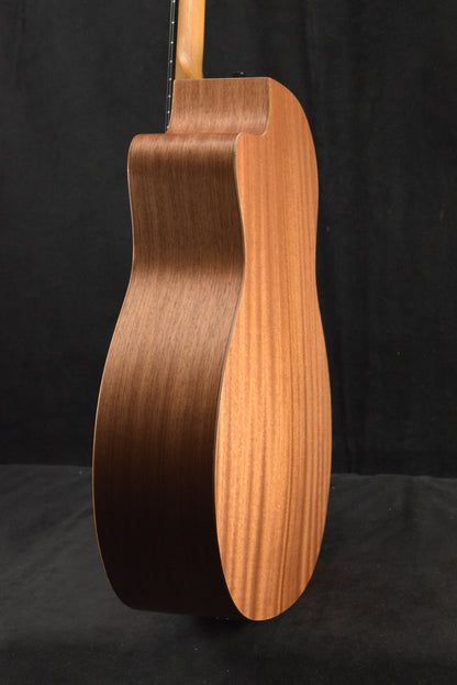 Taylor 24ce Mahogany Top Natural