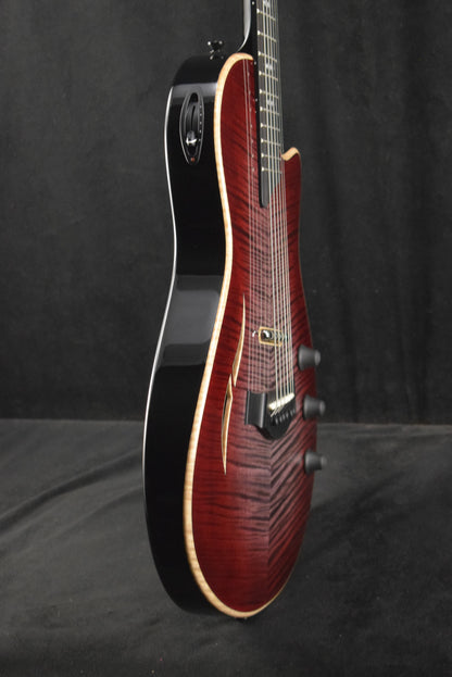 Taylor T5z Pro Grape Vine Shaded Edgeburst