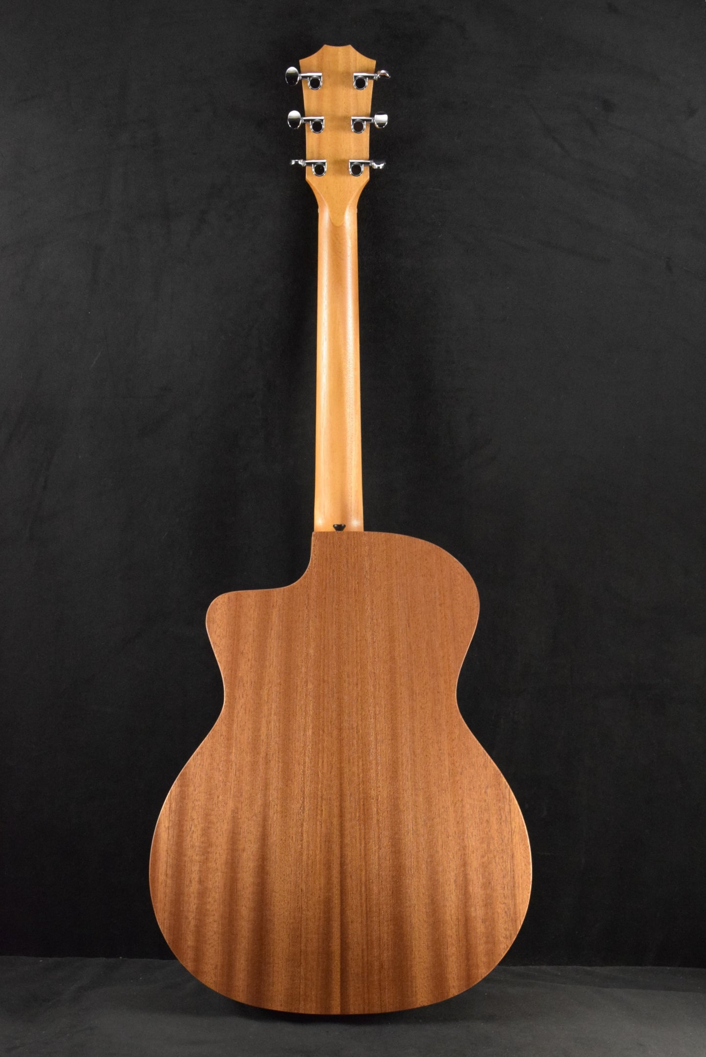 Taylor 24ce Mahogany Top Natural