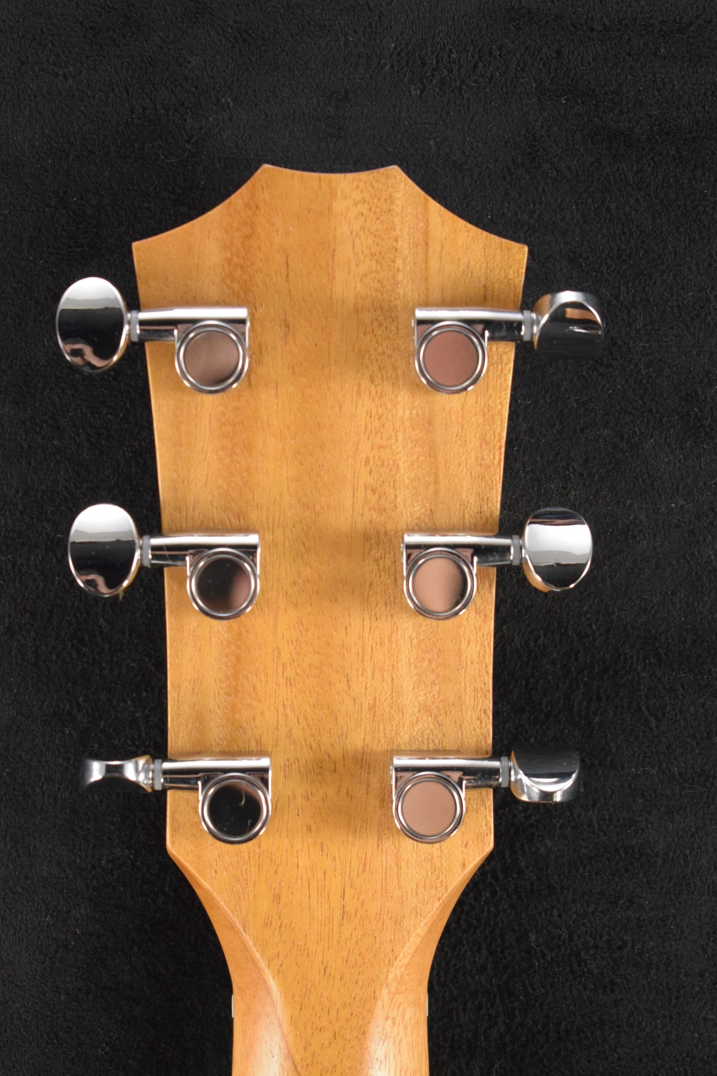 Taylor 24ce Mahogany Top Natural