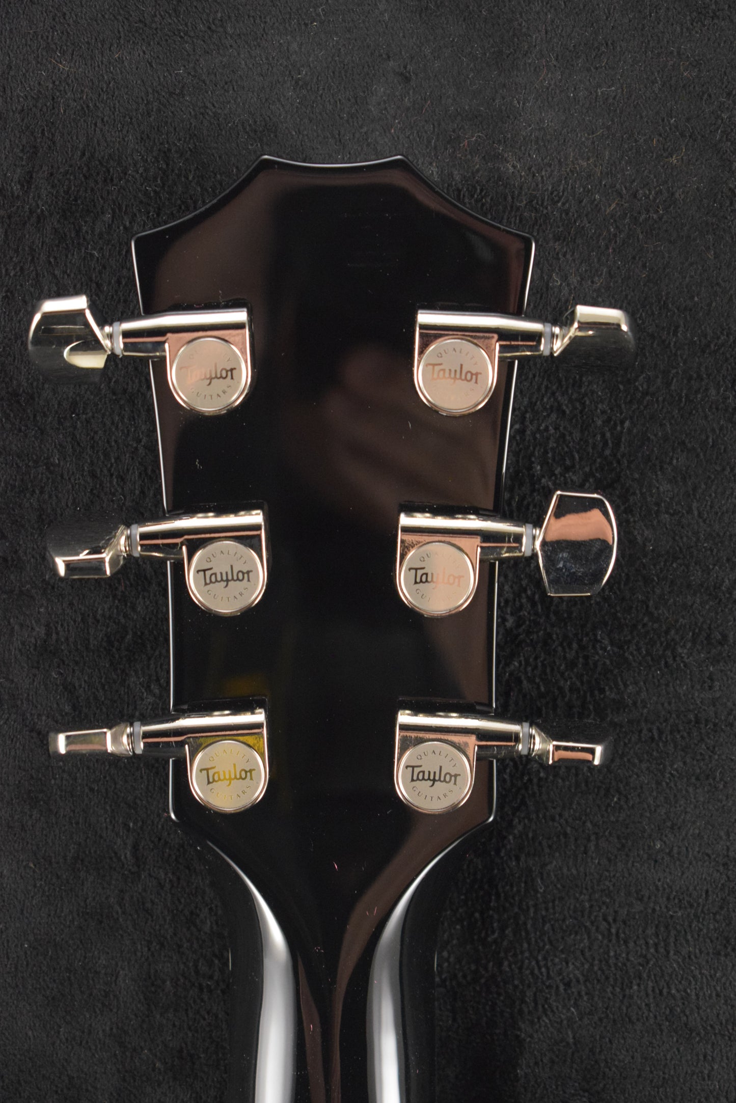 Taylor T5z Pro Grape Vine Shaded Edgeburst