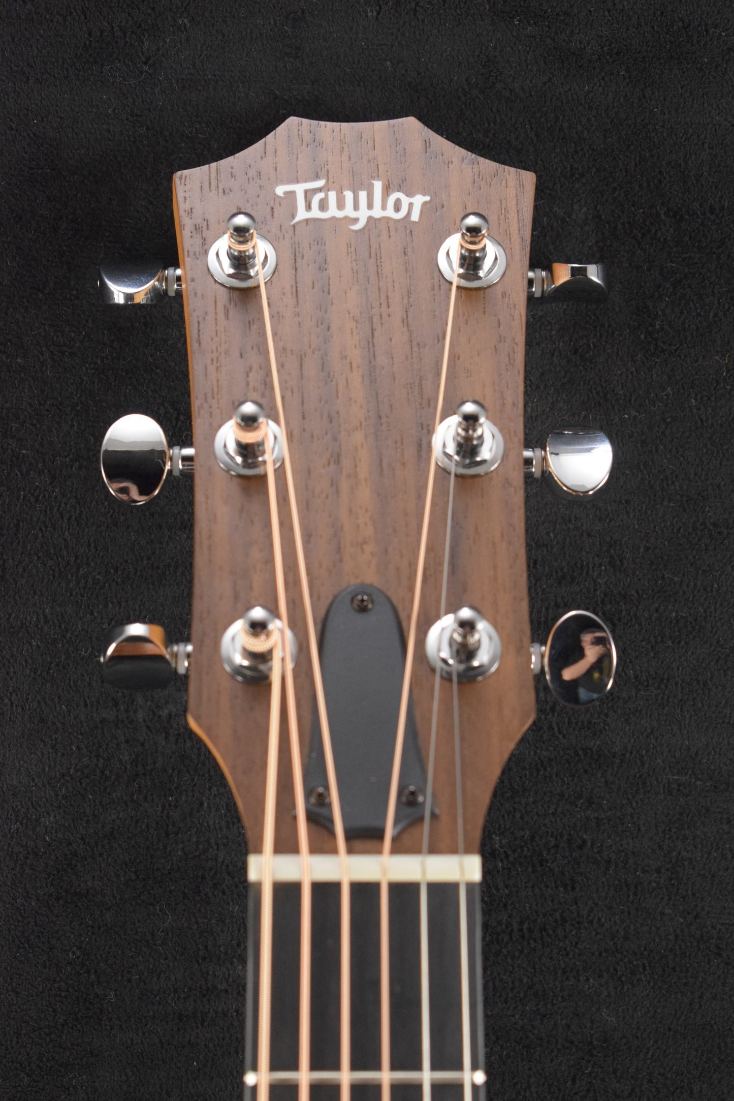 Taylor 14ce Natural