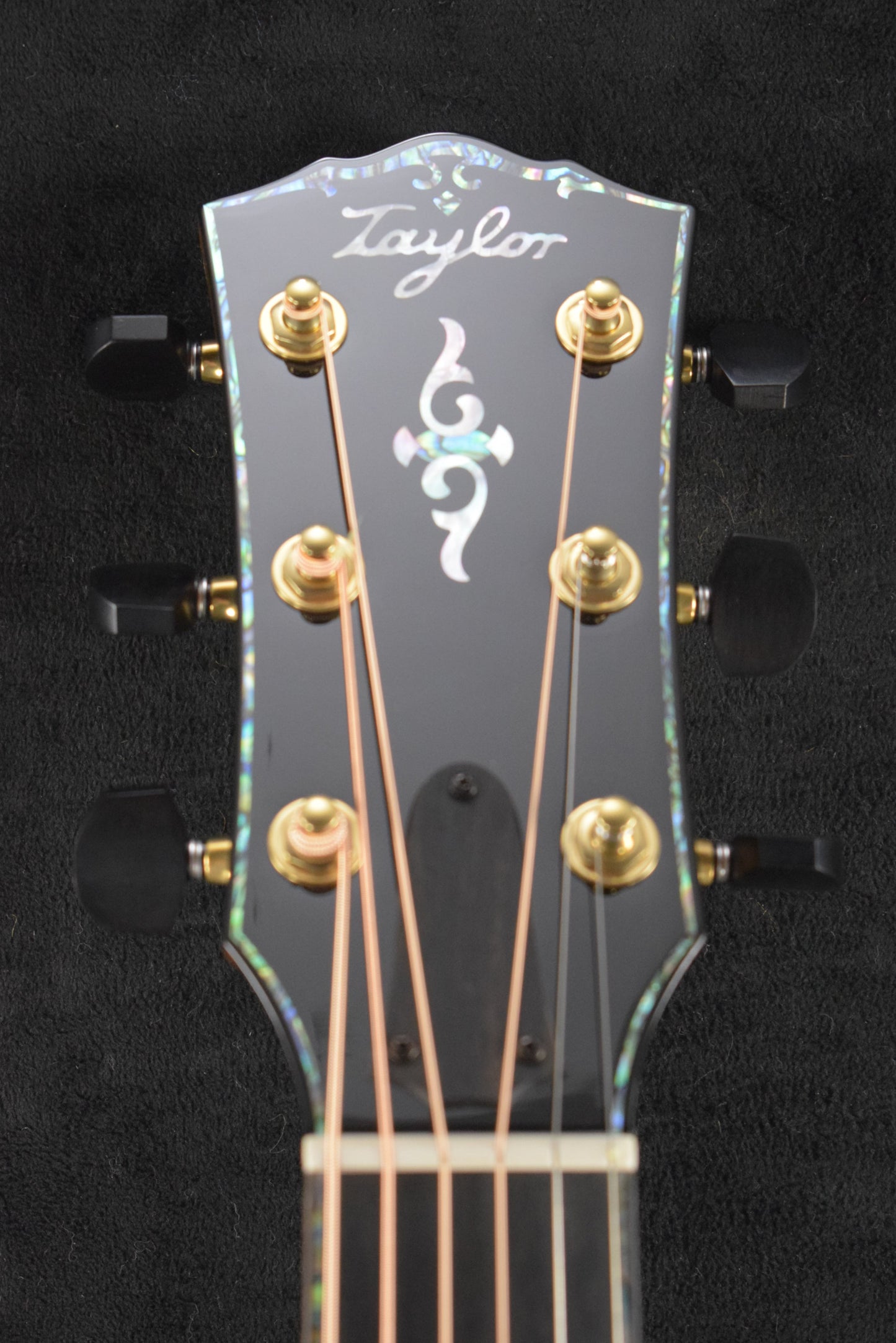 Taylor Gold Label 917e Honduran Rosewood