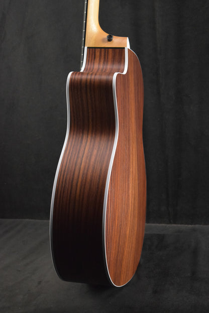 Taylor 214ce Special Edition Honeyburst