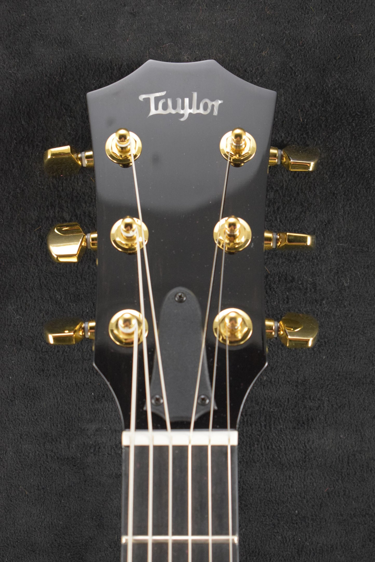 Taylor T5z Custom Koa Shaded Edgeburst