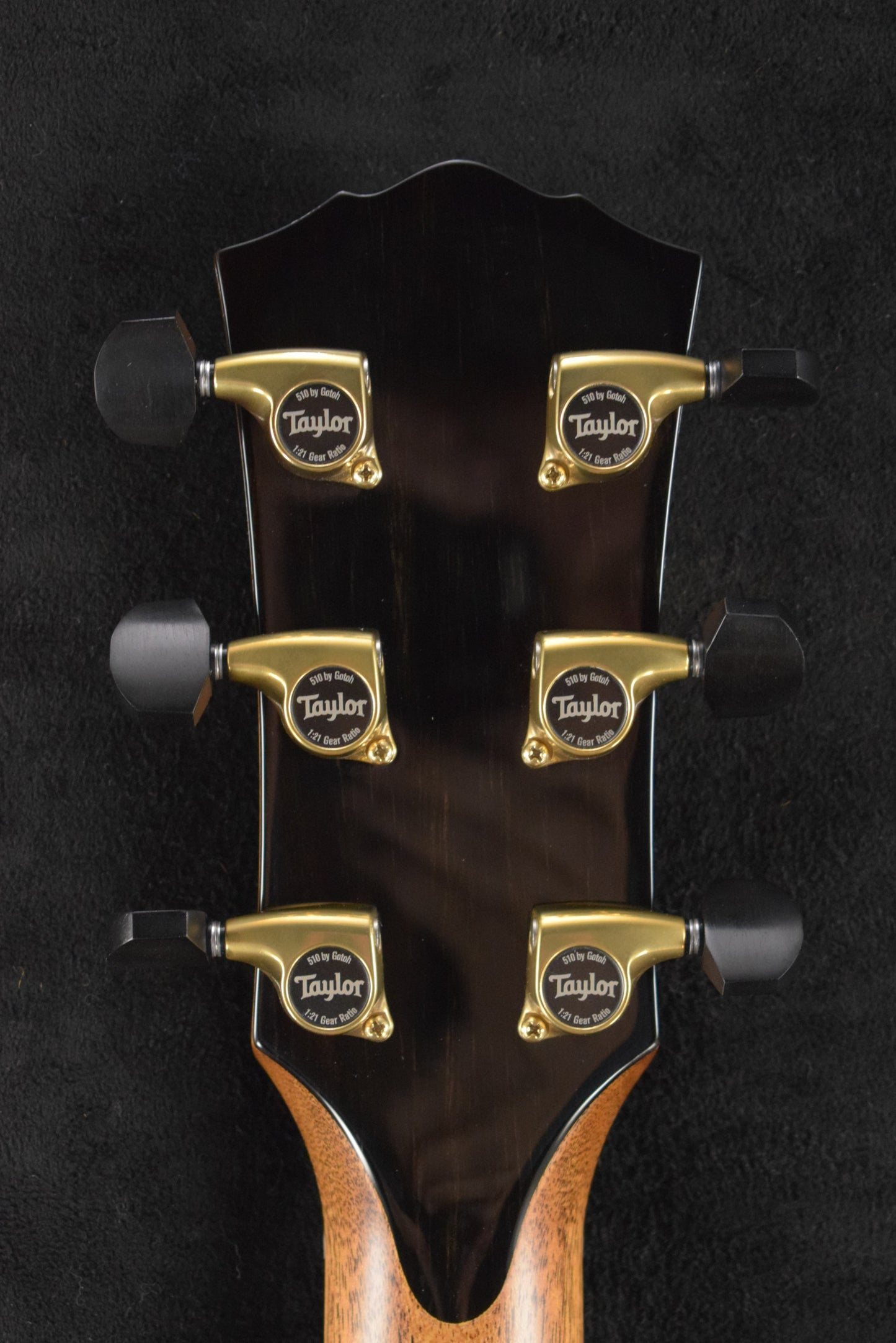 Taylor Gold Label 917e Honduran Rosewood
