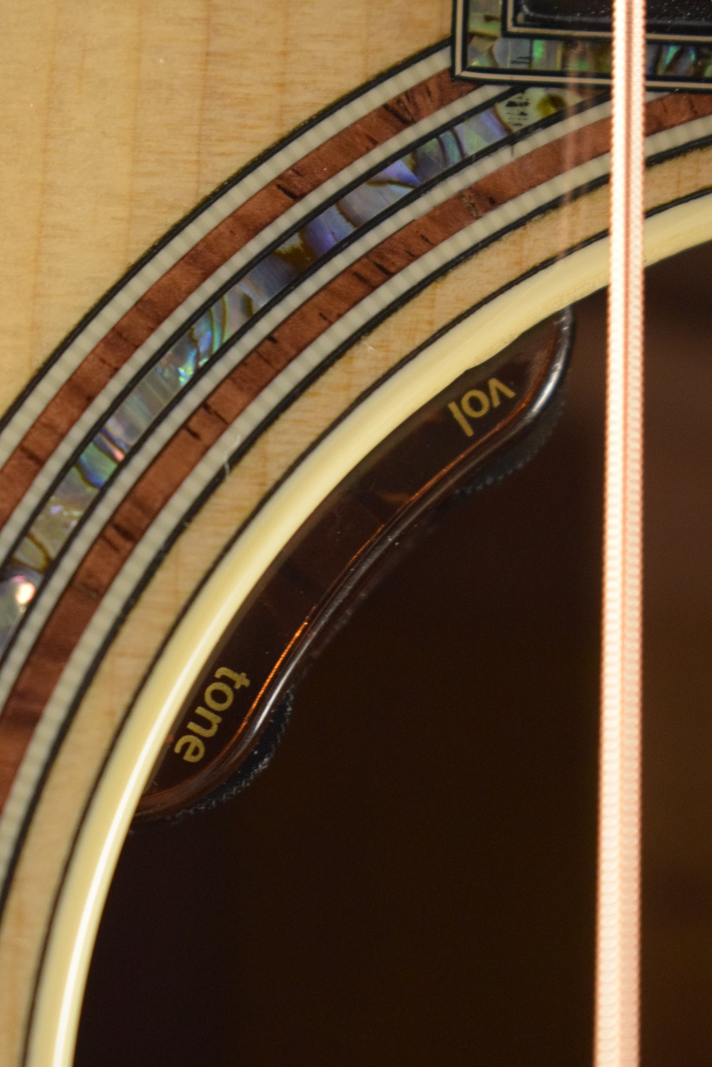 Taylor Gold Label 917e Honduran Rosewood