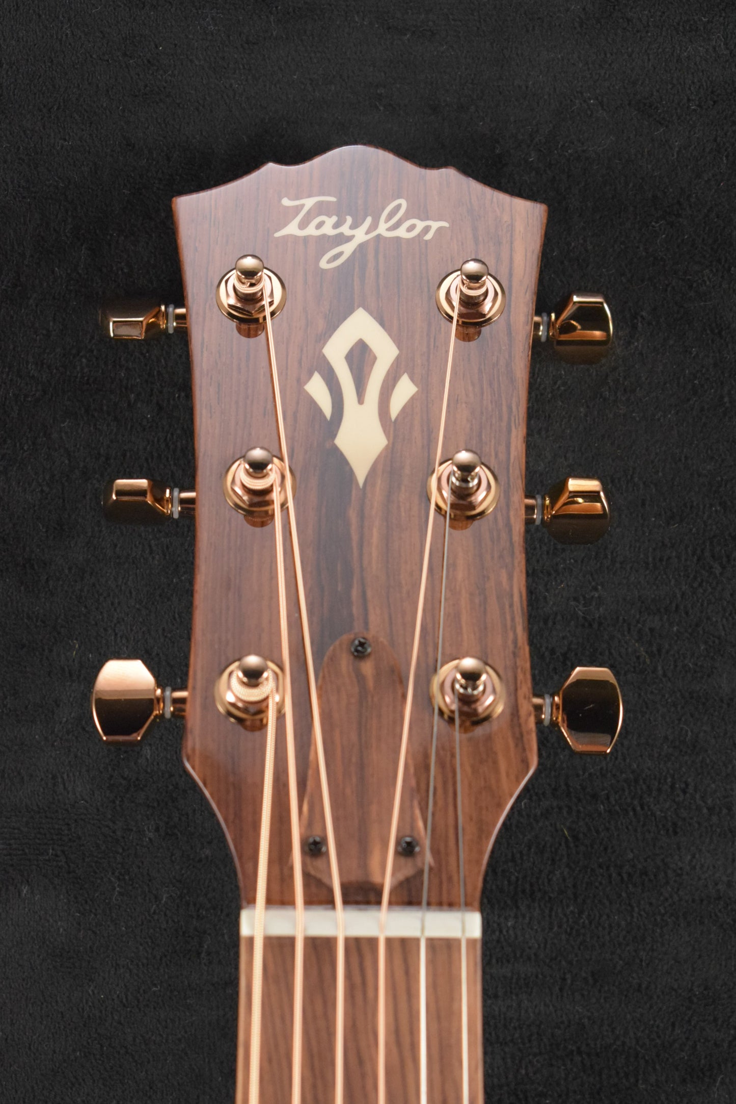 Taylor Ben Harper Gold Label 512e Special Edition