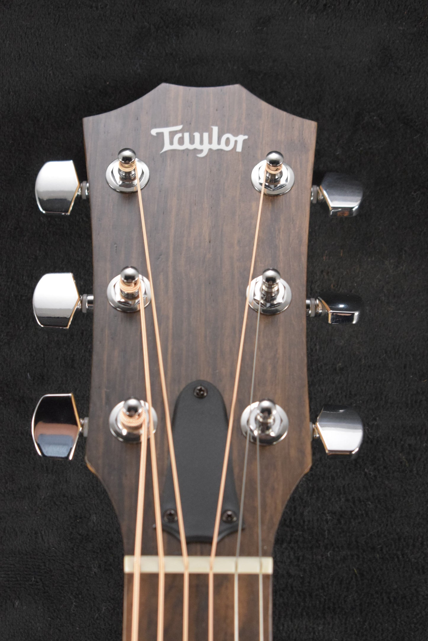 Taylor 114ce Sapele/Torrefied Spruce Natural