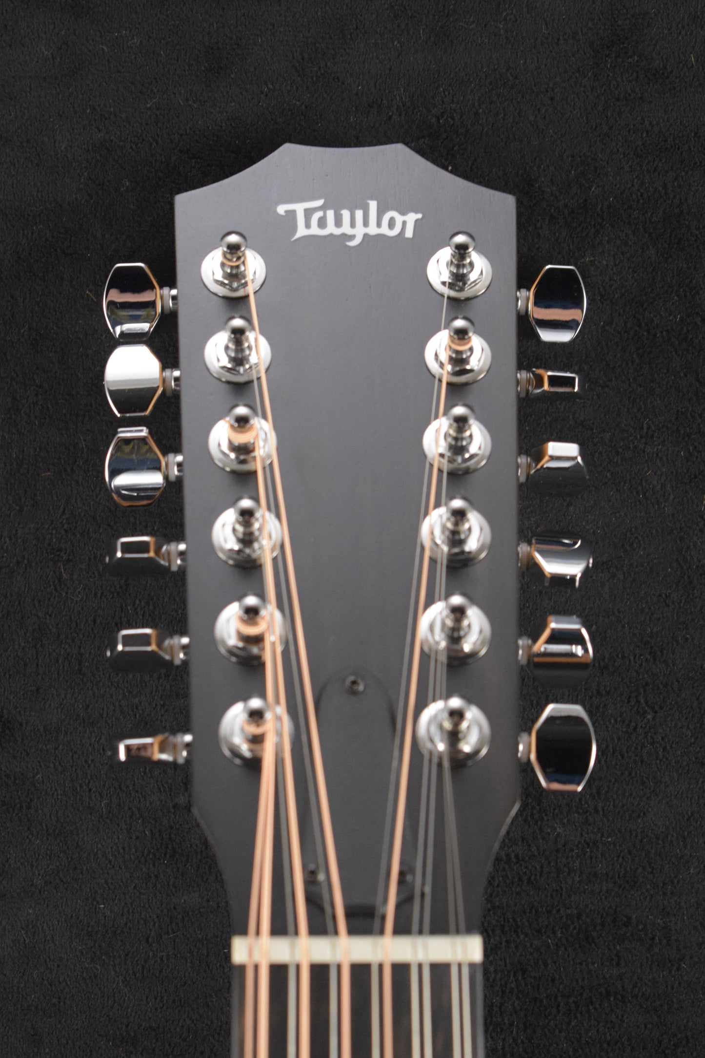 Taylor 150ce 12-String