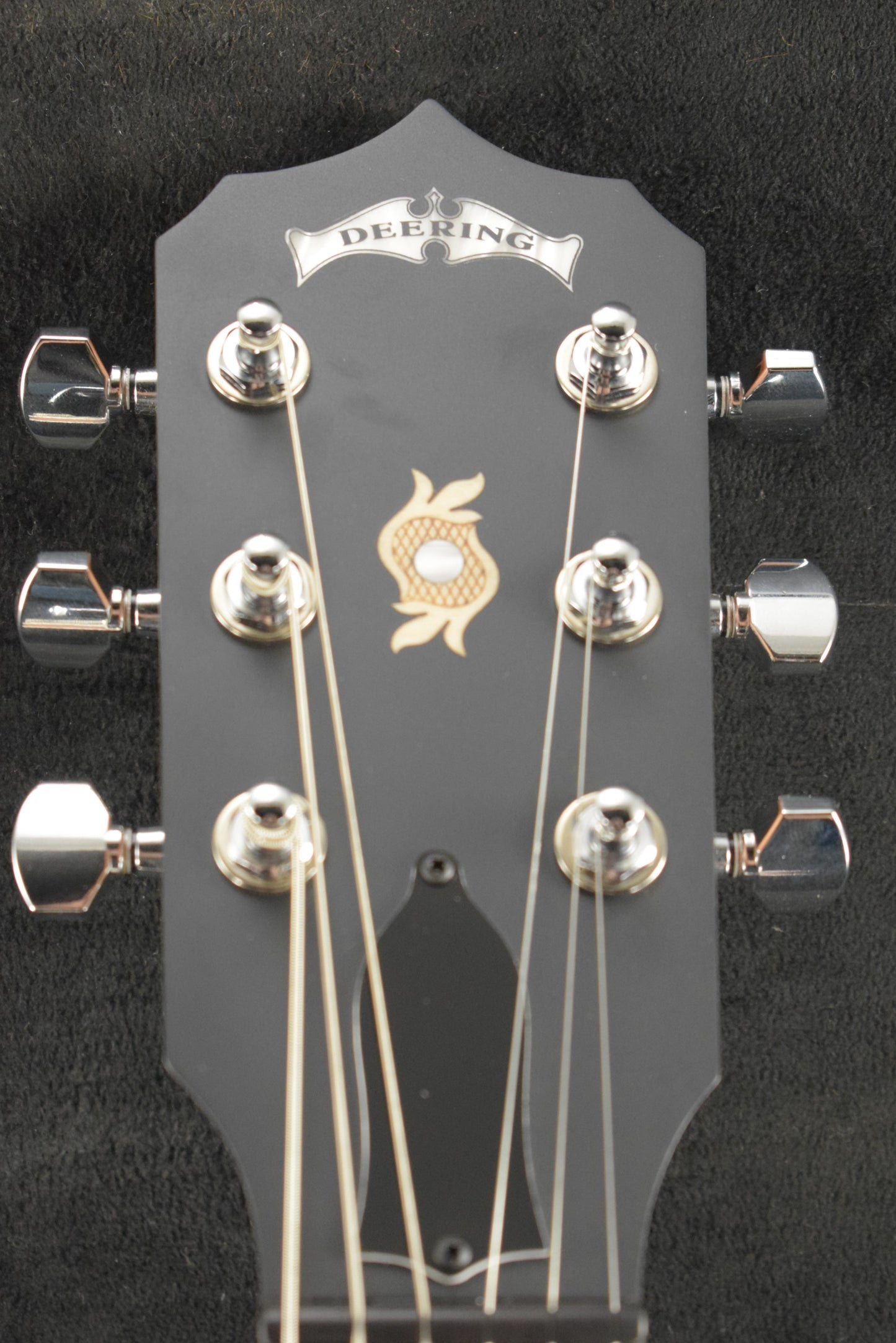 Deering Boston 6-String Banjo