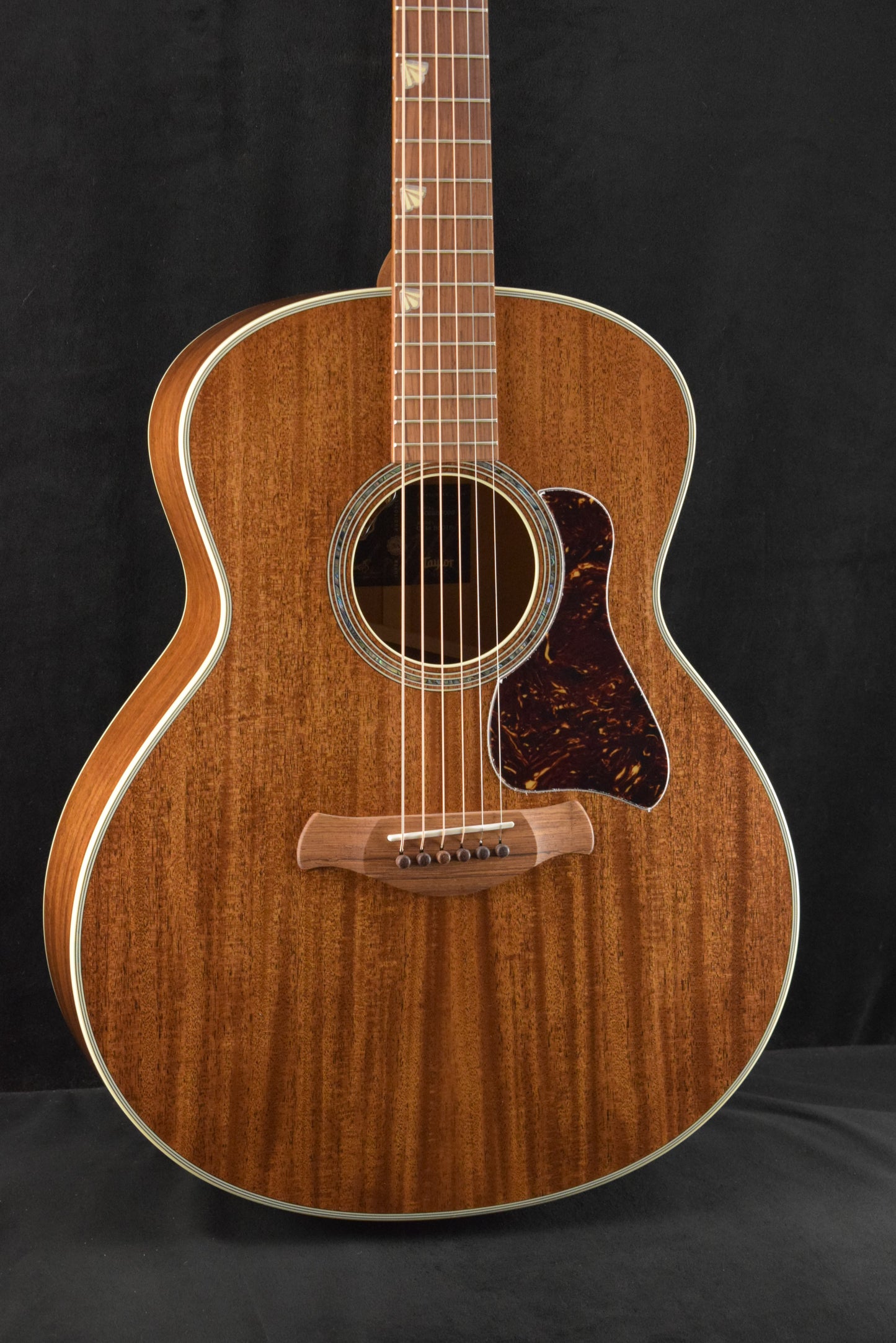 Taylor Gold Label Catch #16 C24e B6016 Super Auditorium Ribbon Mahogany/Ribbon Mahogany