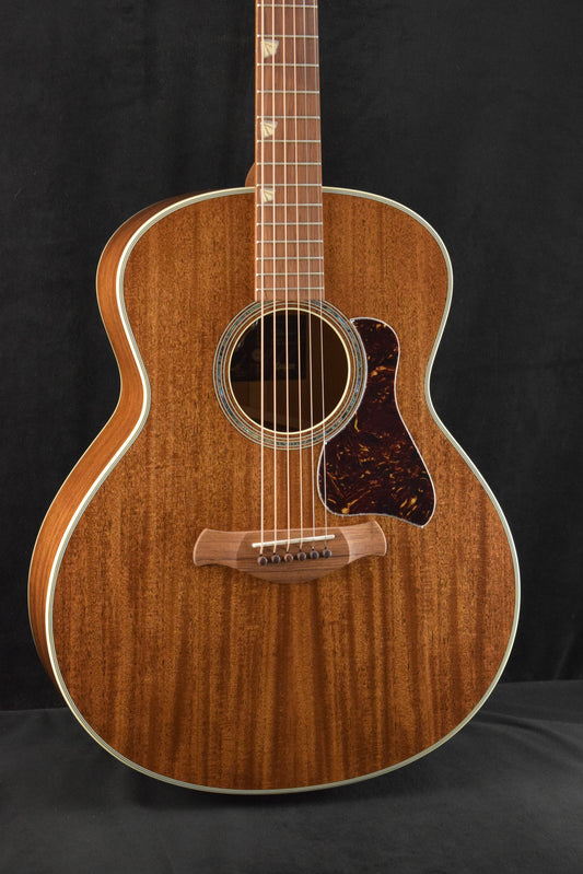 Taylor Gold Label Catch #16 C24e B6016 Super Auditorium Ribbon Mahogany/Ribbon Mahogany